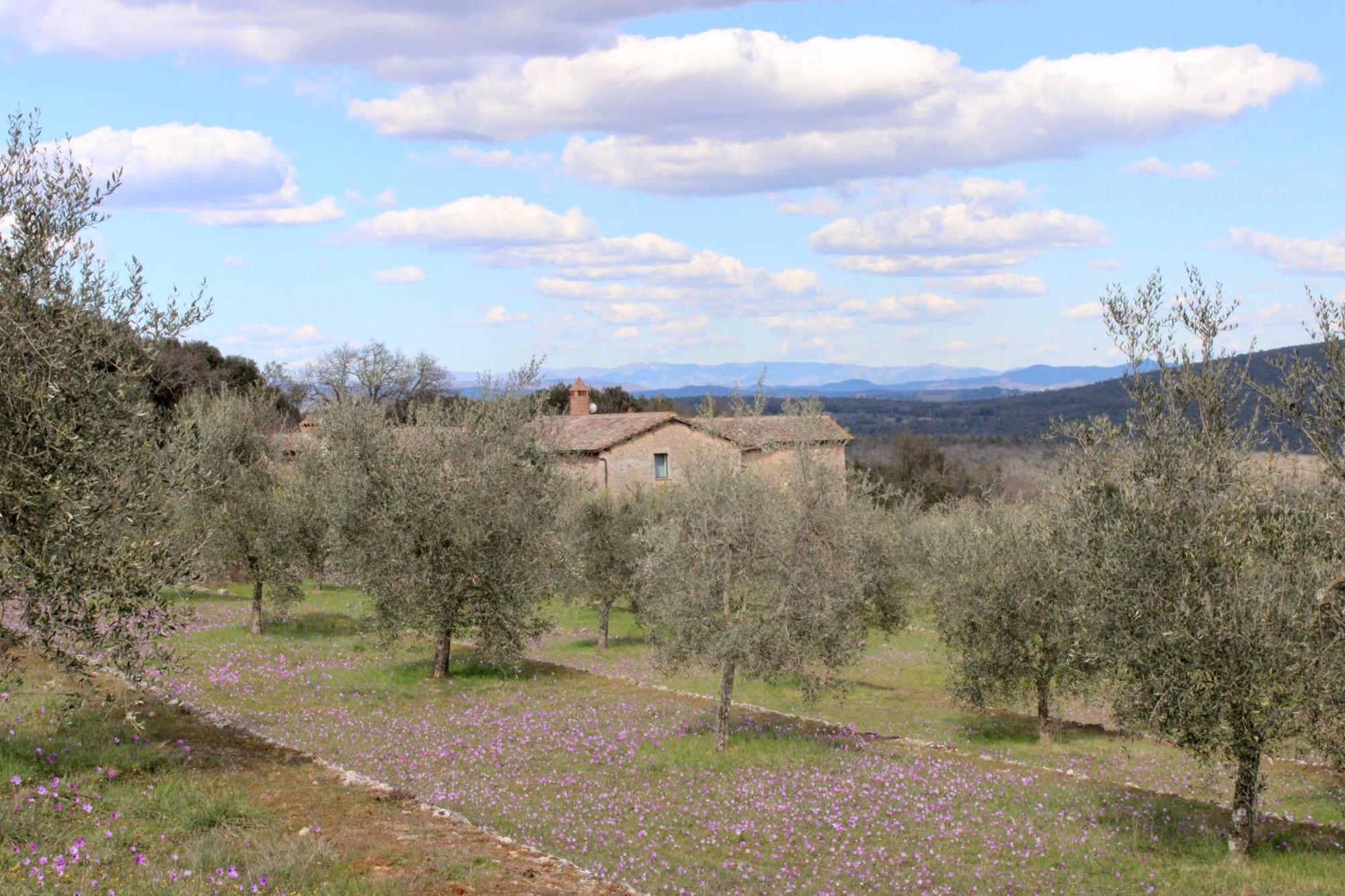 Agriturismo Il Caggio Sovicille Esterno foto