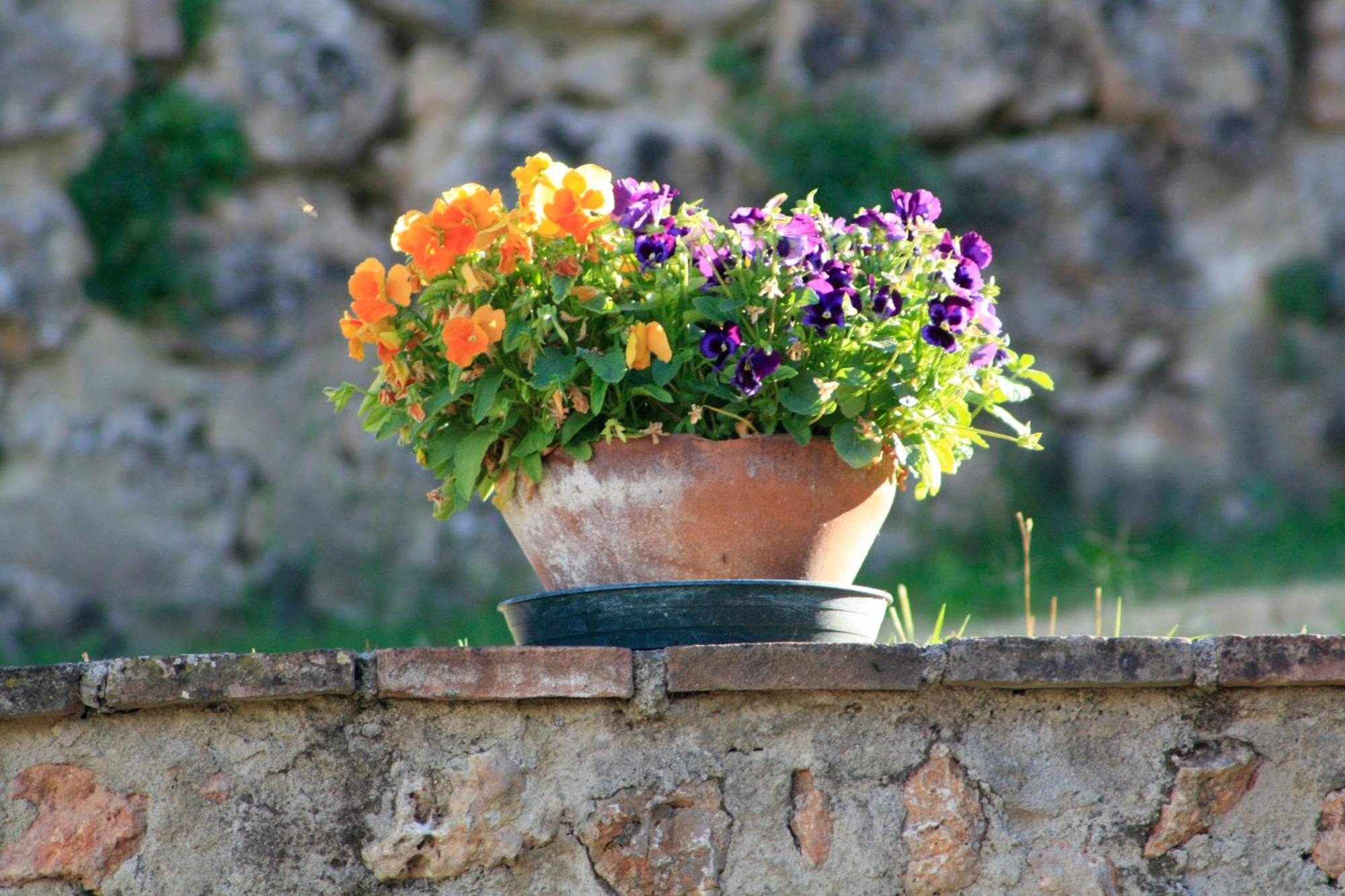 Agriturismo Il Caggio Sovicille Esterno foto